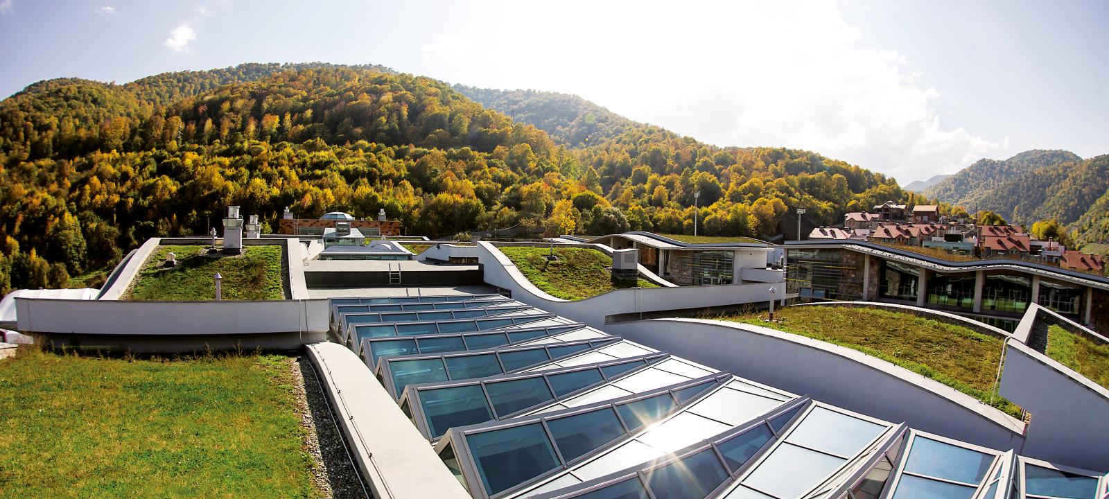 Extensive green roof